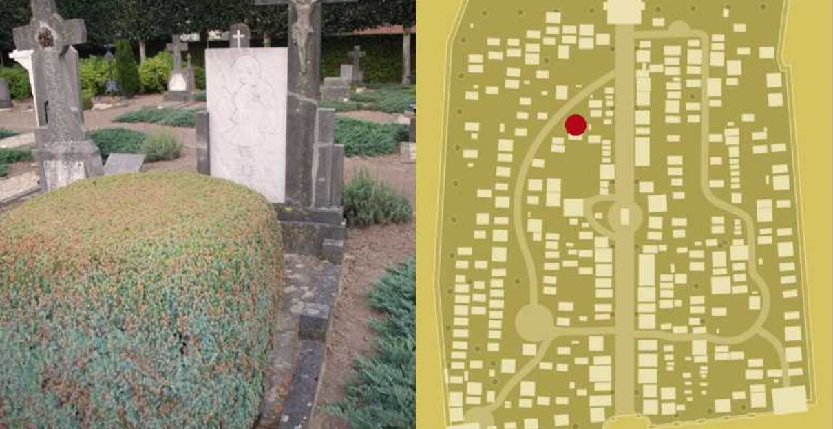 Paulissen, Johannes G.